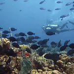 Apartamento En Ciudad Amurallada Centro Historico Cartagena De Indias, Colombia