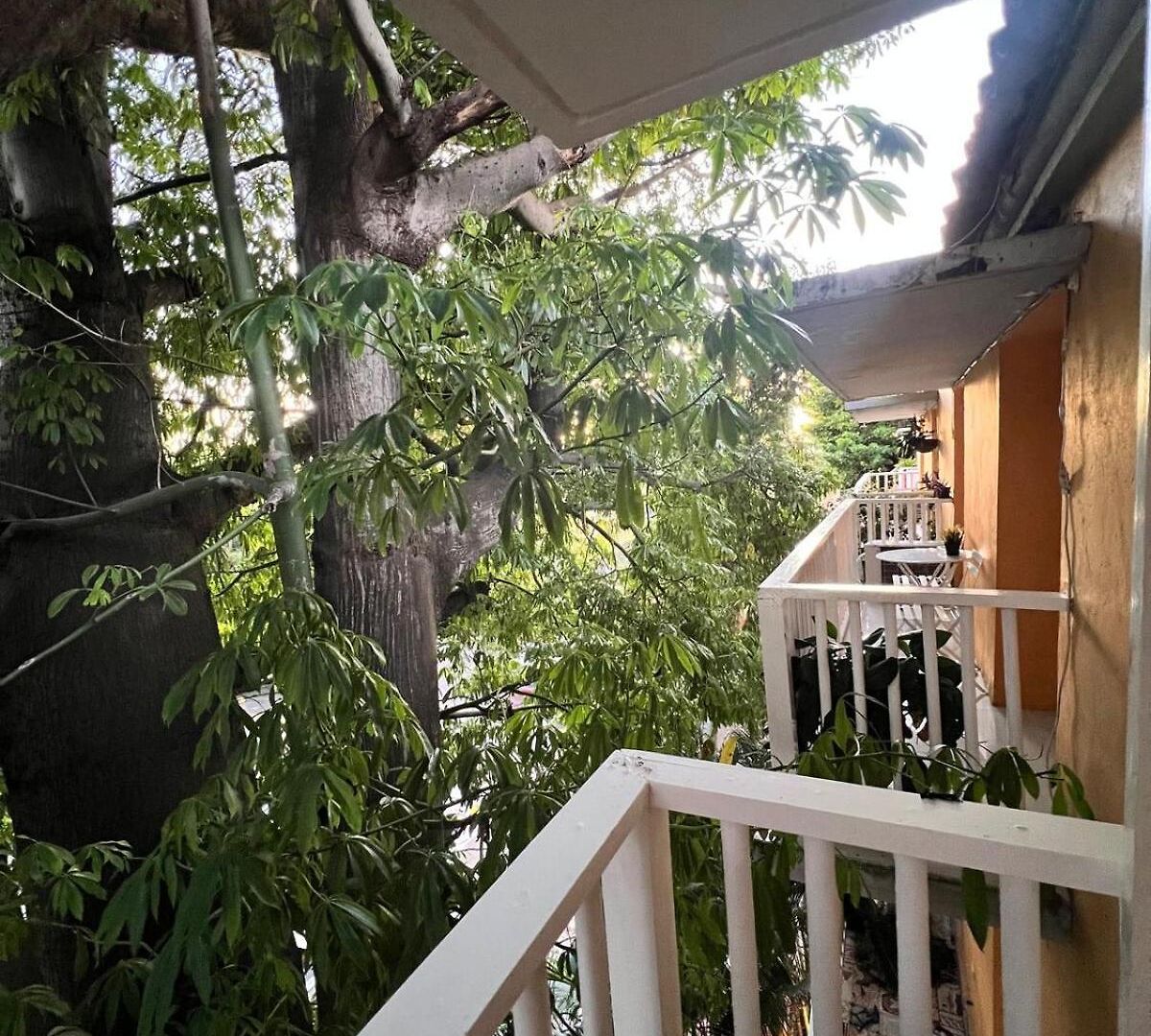 Apartamento En Ciudad Amurallada Centro Histórico De Indias, Colombia *