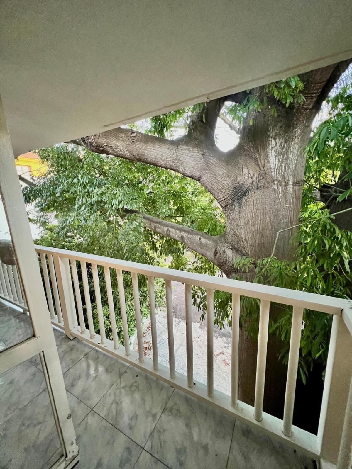 En Ciudad Amurallada Centro Histórico De Indias, Colombia Apartamento