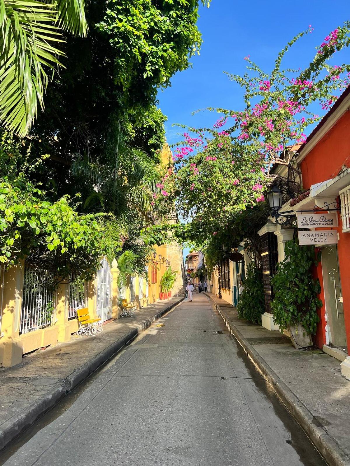 En Ciudad Amurallada Centro Histórico De Indias, Colombia Apartamento